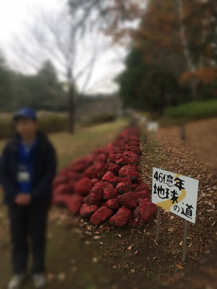 20141211-105420-16_15809239899_o (2023-06-17T06_46_54.544)
