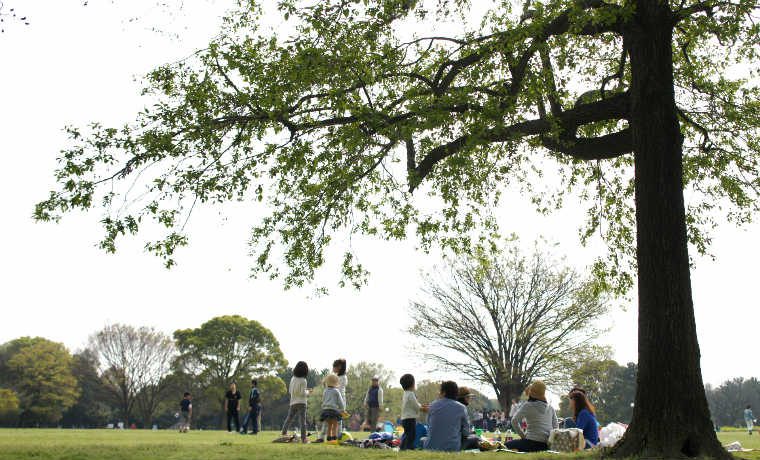 イベント 公園で防災について学ぼう 城北中央公園 10 7